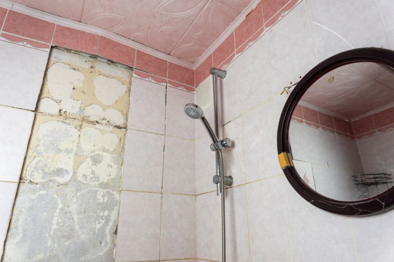 Shower Restoration